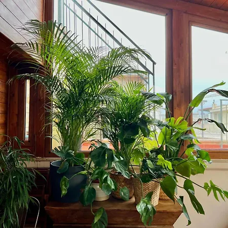 Casa Veliero Daire *