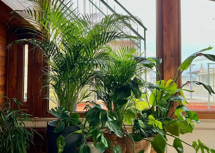 Casa Veliero Apartment *